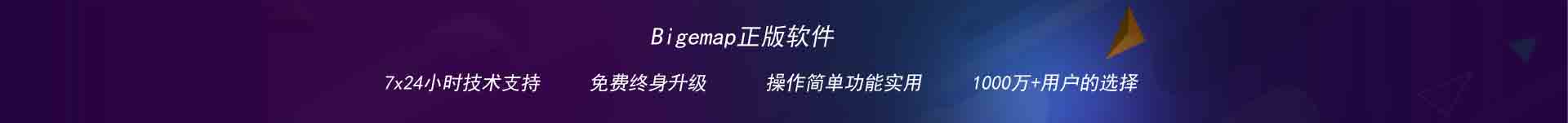 BIGEMAP地图下载器正版