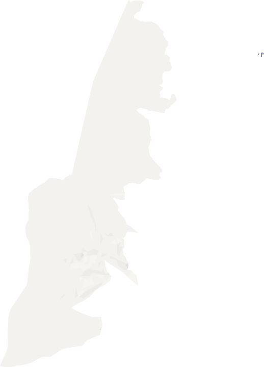 兵团农九师一六一团电子地图