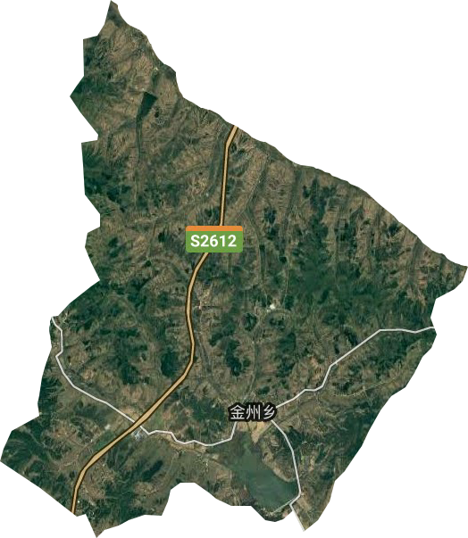 金洲乡卫星图