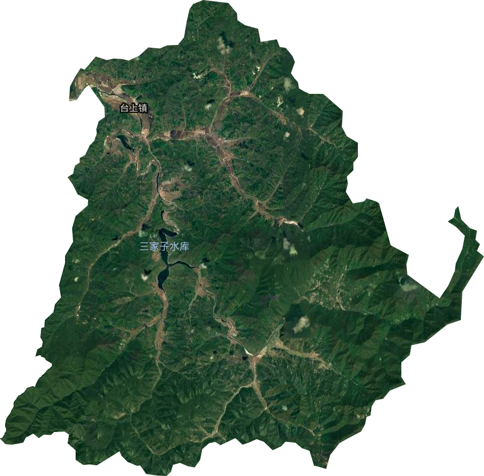 台上镇卫星图