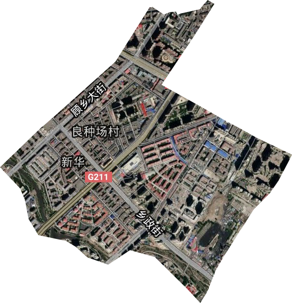 新华街道卫星图