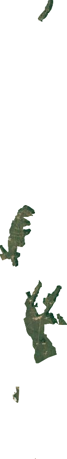鹤北镇卫星图