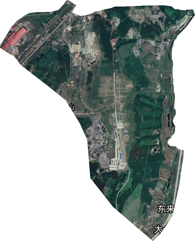 东山街道卫星图