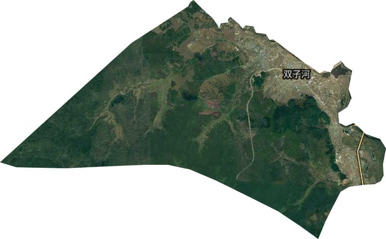 双子河街道卫星图