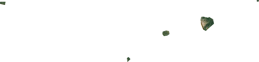 曙光农场卫星图