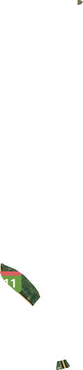 桦南种畜场卫星图