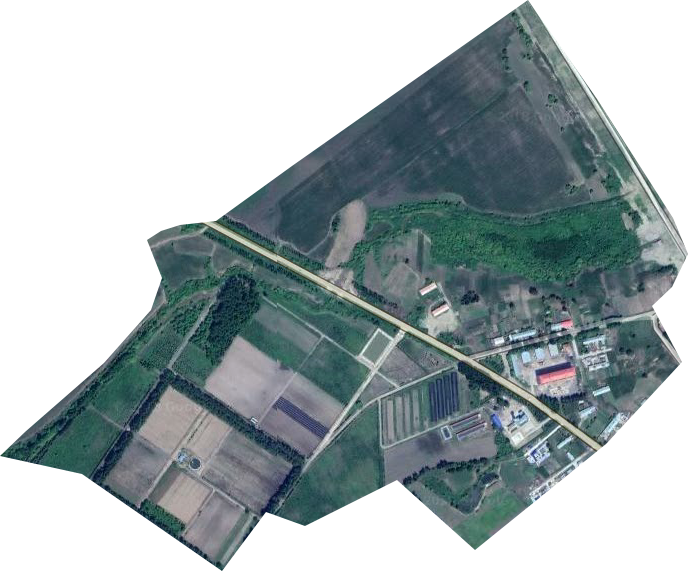 沿江林场卫星图