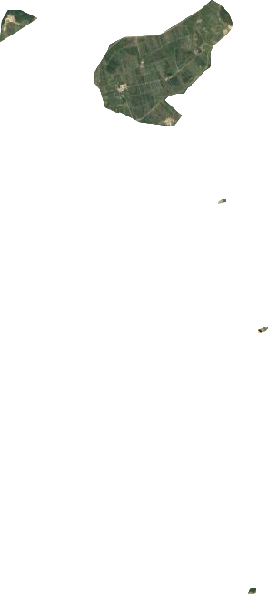 四方山农场卫星图
