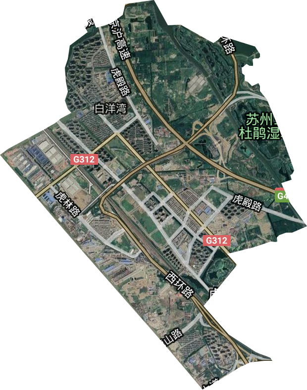 白洋湾街道卫星图