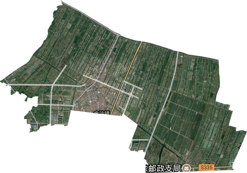 金沙镇卫星图
