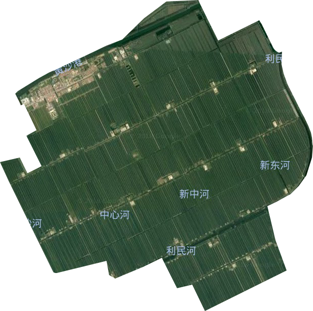 新洋农场卫星图