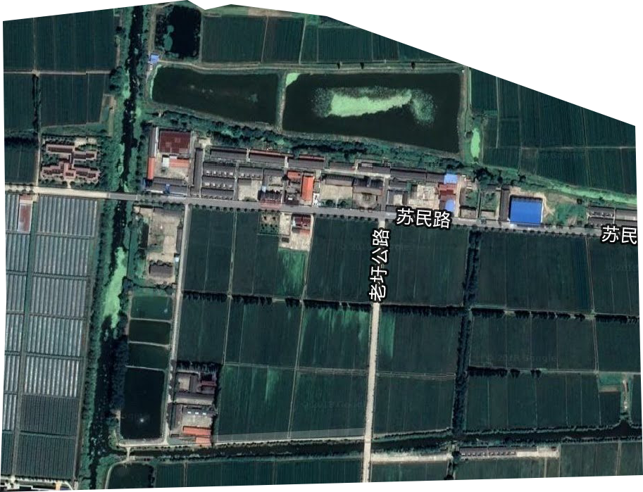 立新农场卫星图