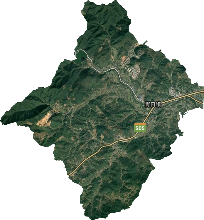 胥口镇卫星图