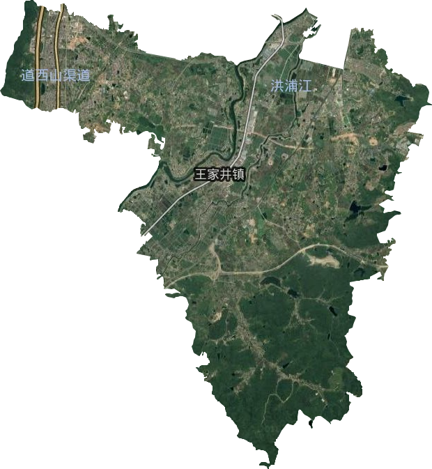 王家井镇卫星图