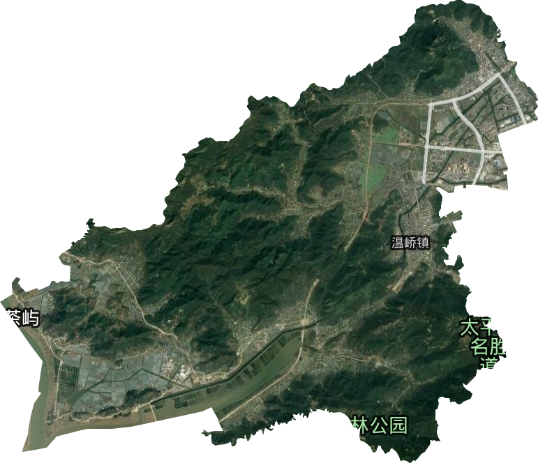 温峤镇卫星图