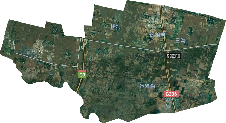 桃园镇卫星图
