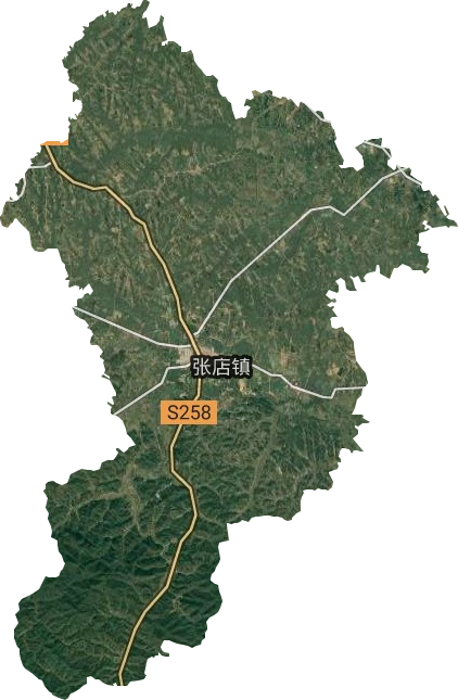 张店镇卫星图