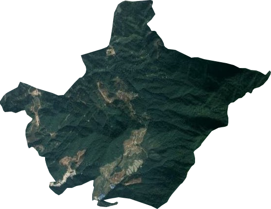 城东乡卫星图