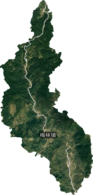 梅林镇卫星图