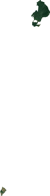 国营峤岭垦殖场卫星图