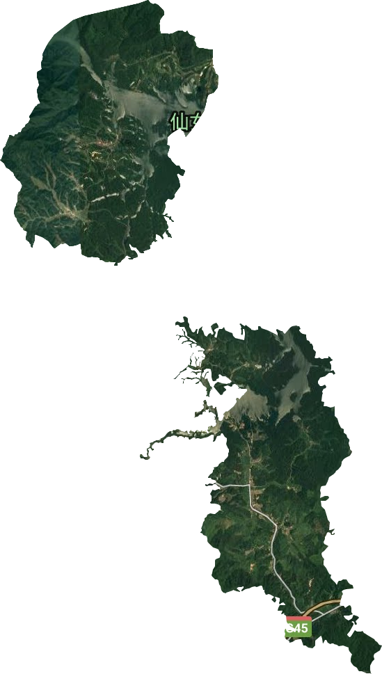 东坑林场卫星图