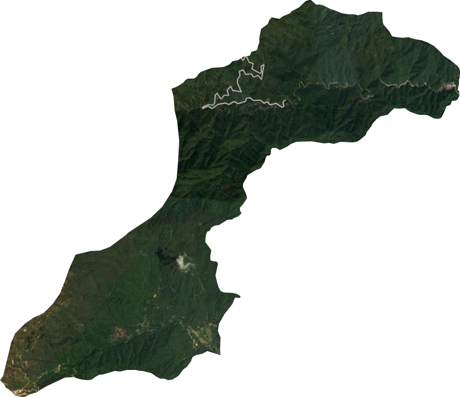 大沩山林场卫星图