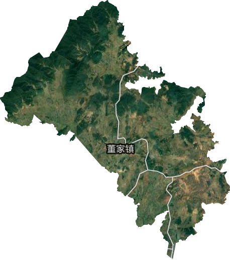 董家镇卫星图