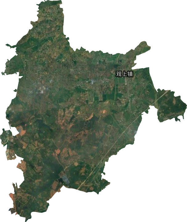 观上镇卫星图