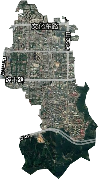 文东街道卫星图