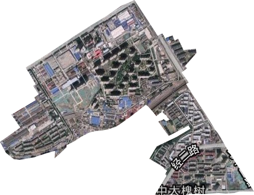 中大槐树街道卫星图