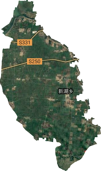 新湖镇卫星图