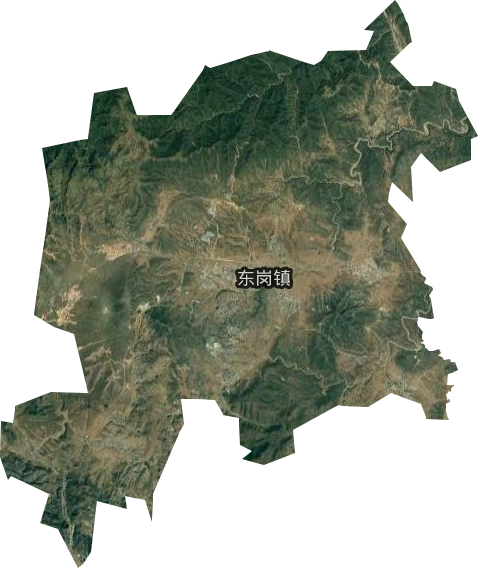 东岗镇卫星图