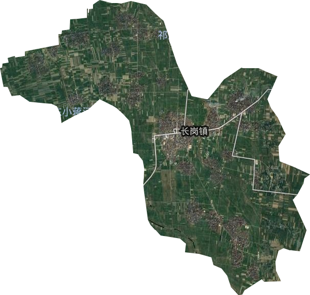 长岗镇卫星图