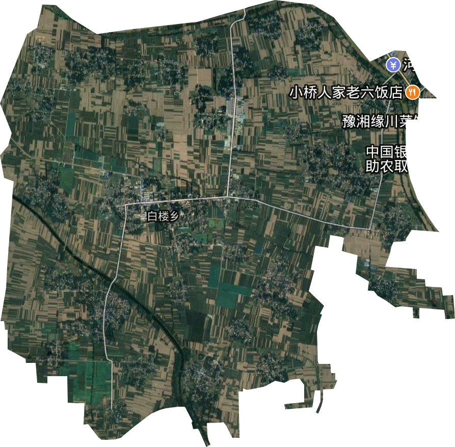 白楼乡卫星图