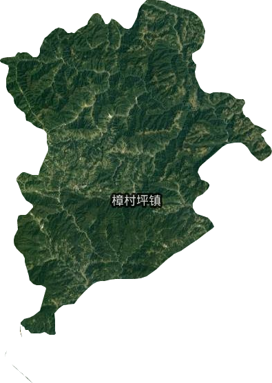 樟村坪镇卫星图