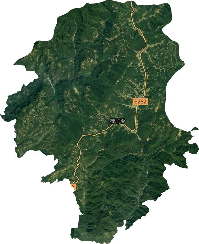 榛子乡卫星图