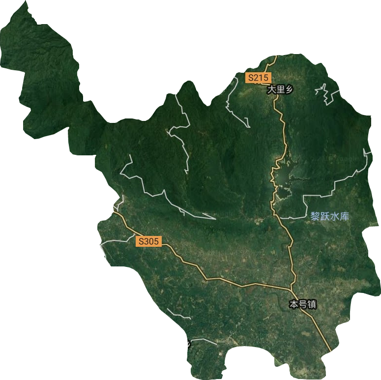 本号镇卫星图