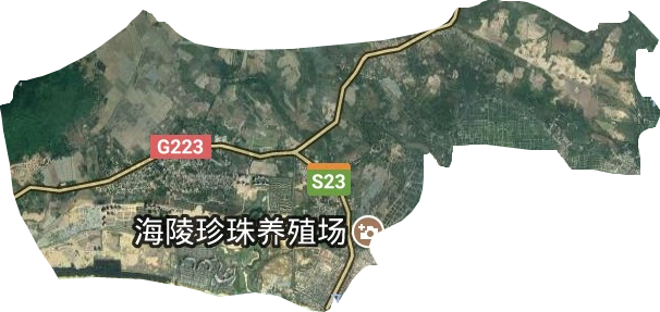 新村镇卫星图