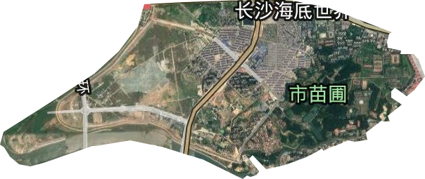 月湖街道卫星图