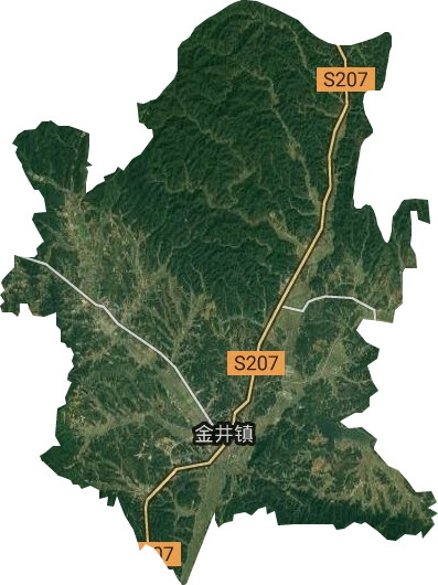 金井镇卫星图