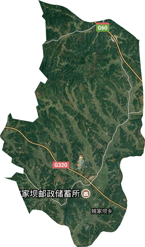 姚家坝乡卫星图