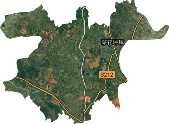 菜花坪镇卫星图