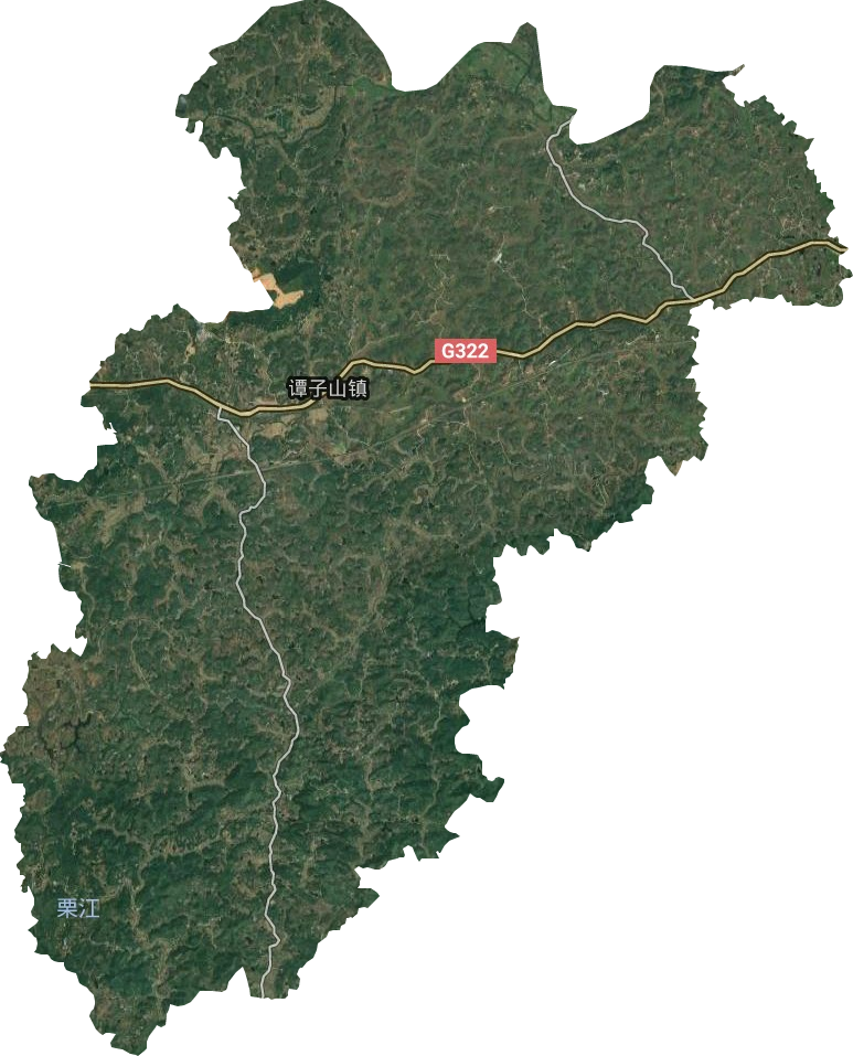 谭子山镇卫星图