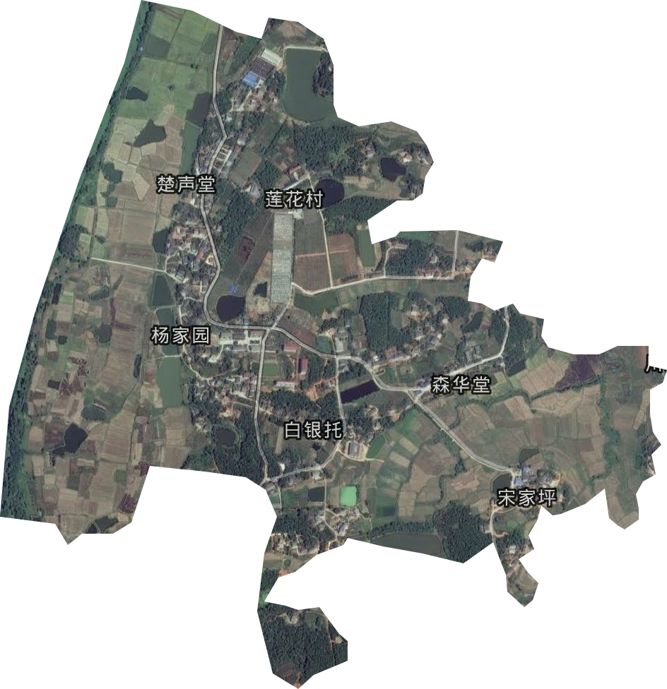 衡南县原种场卫星图