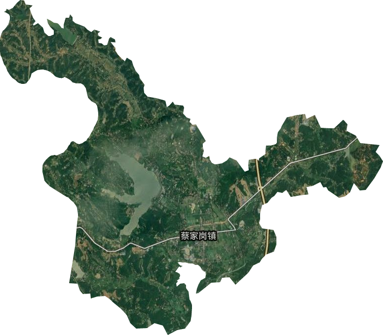 蔡家岗镇卫星图