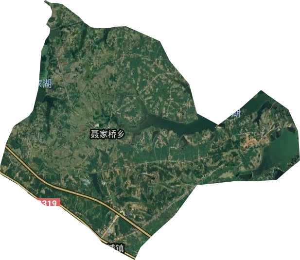 聂家桥乡卫星图