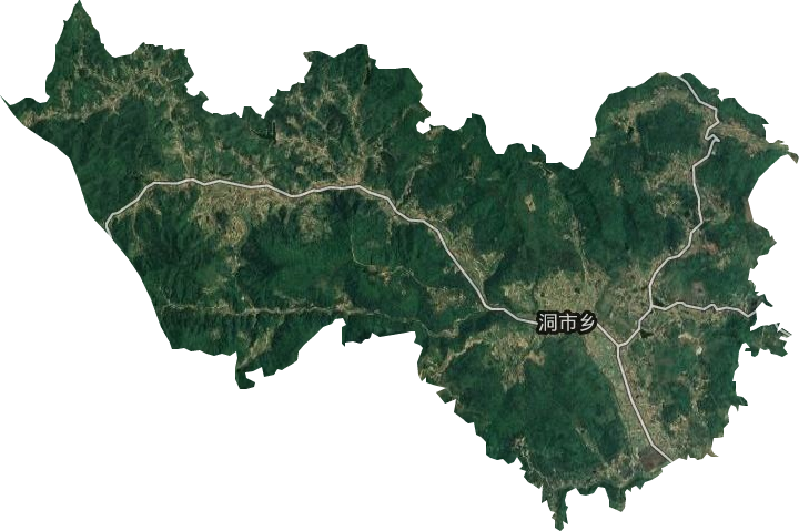洞市乡卫星图