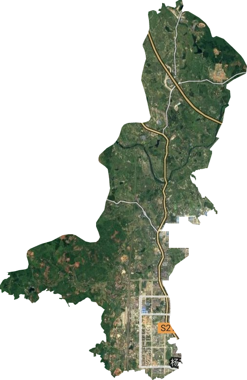 珊瑚街道卫星图