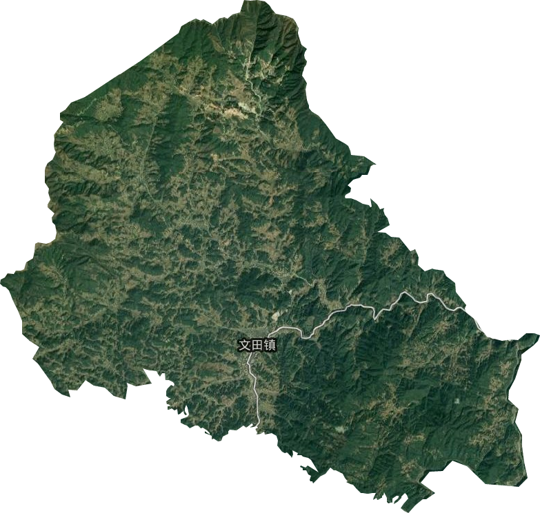 文田镇卫星图