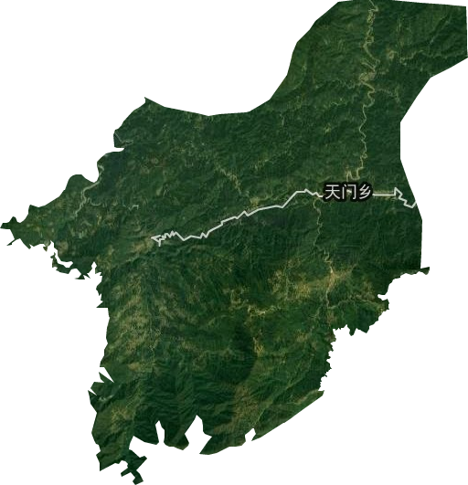 天门乡卫星图